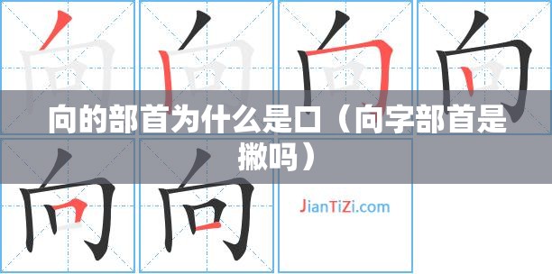 向的部首为什么是口（向字部首是撇吗）