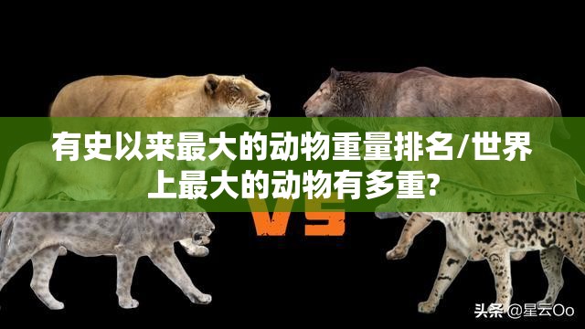 有史以来最大的动物重量排名/世界上最大的动物有多重?