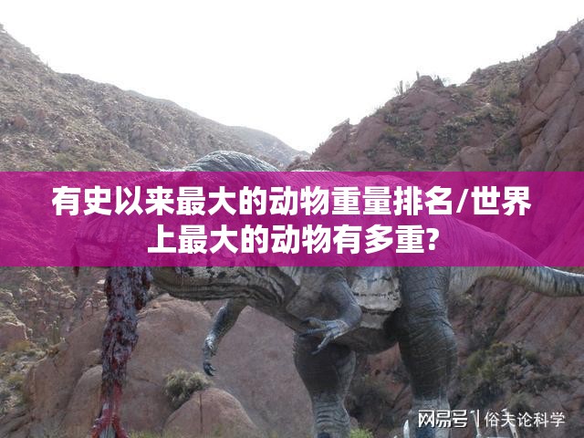 有史以来最大的动物重量排名/世界上最大的动物有多重?