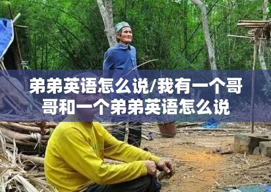 弟弟英语怎么说/我有一个哥哥和一个弟弟英语怎么说