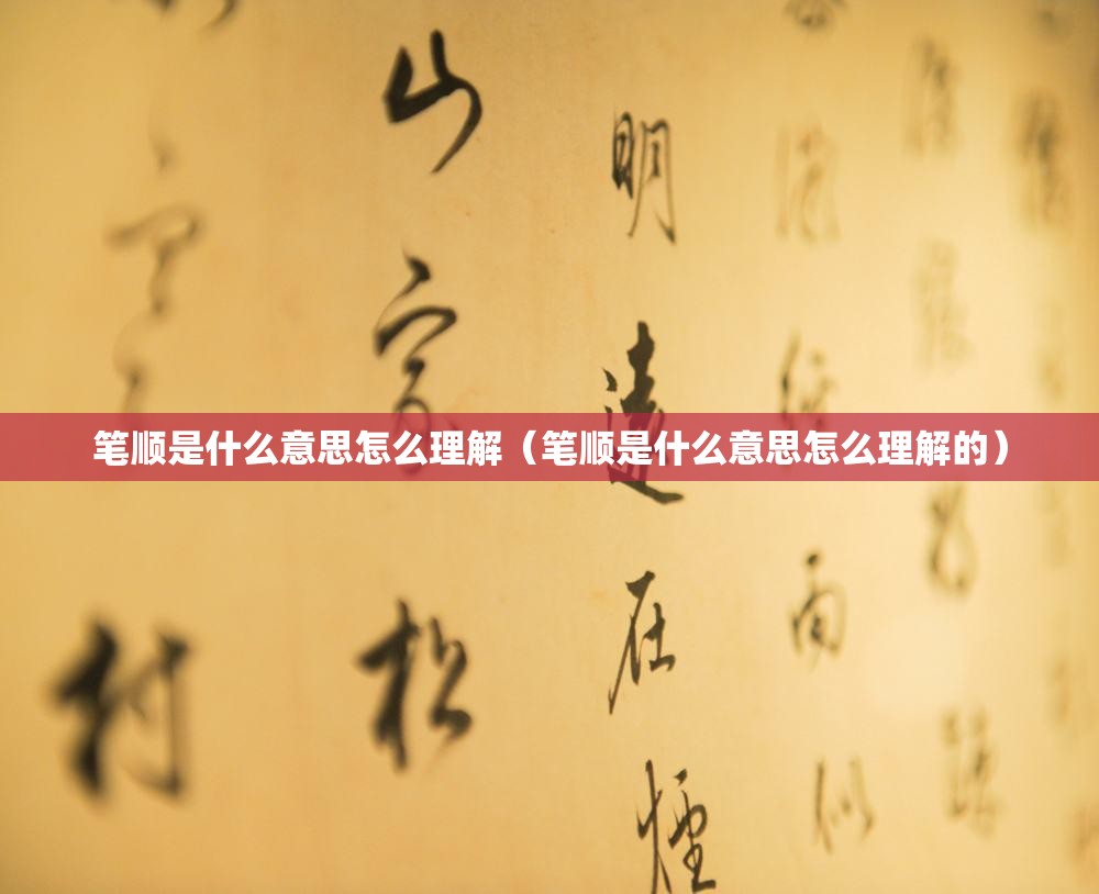 笔顺是什么意思怎么理解（笔顺是什么意思怎么理解的）