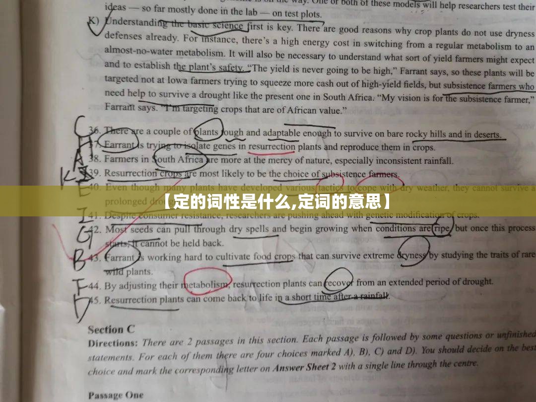 【定的词性是什么,定词的意思】