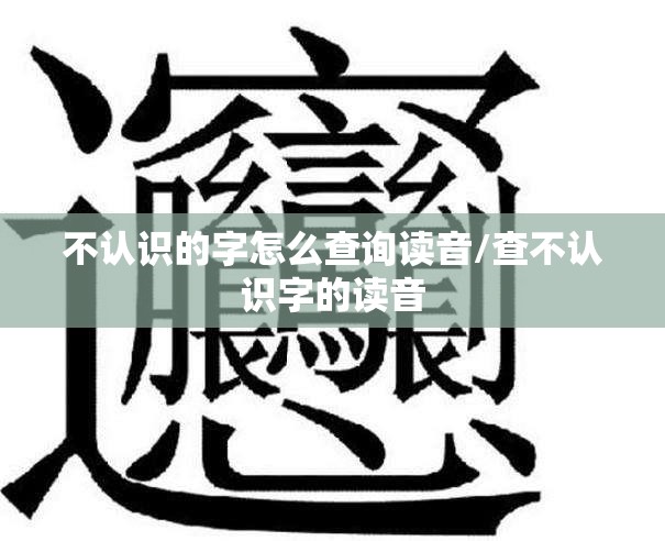 不认识的字怎么查询读音/查不认识字的读音