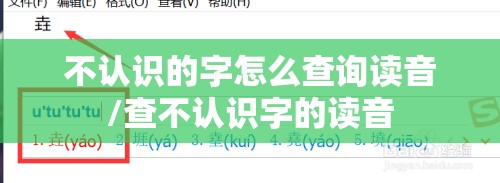 不认识的字怎么查询读音/查不认识字的读音