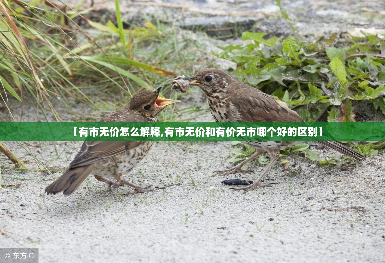【有市无价怎么解释,有市无价和有价无市哪个好的区别】