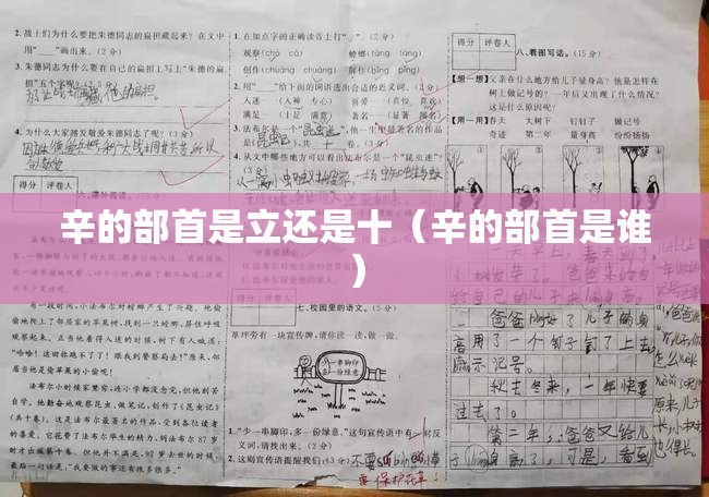 辛的部首是立还是十（辛的部首是谁）