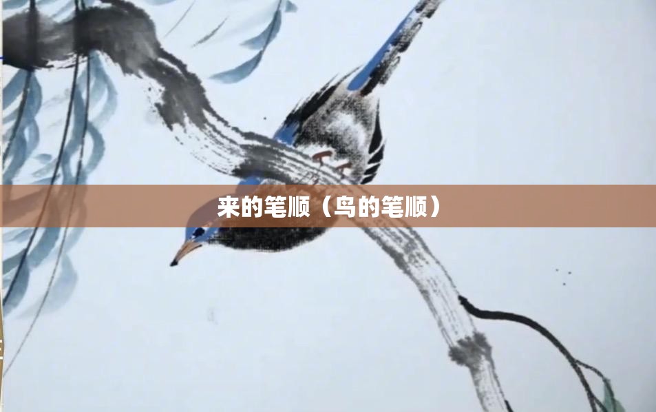 来的笔顺（鸟的笔顺）