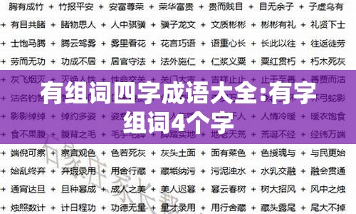 有组词四字成语大全:有字组词4个字