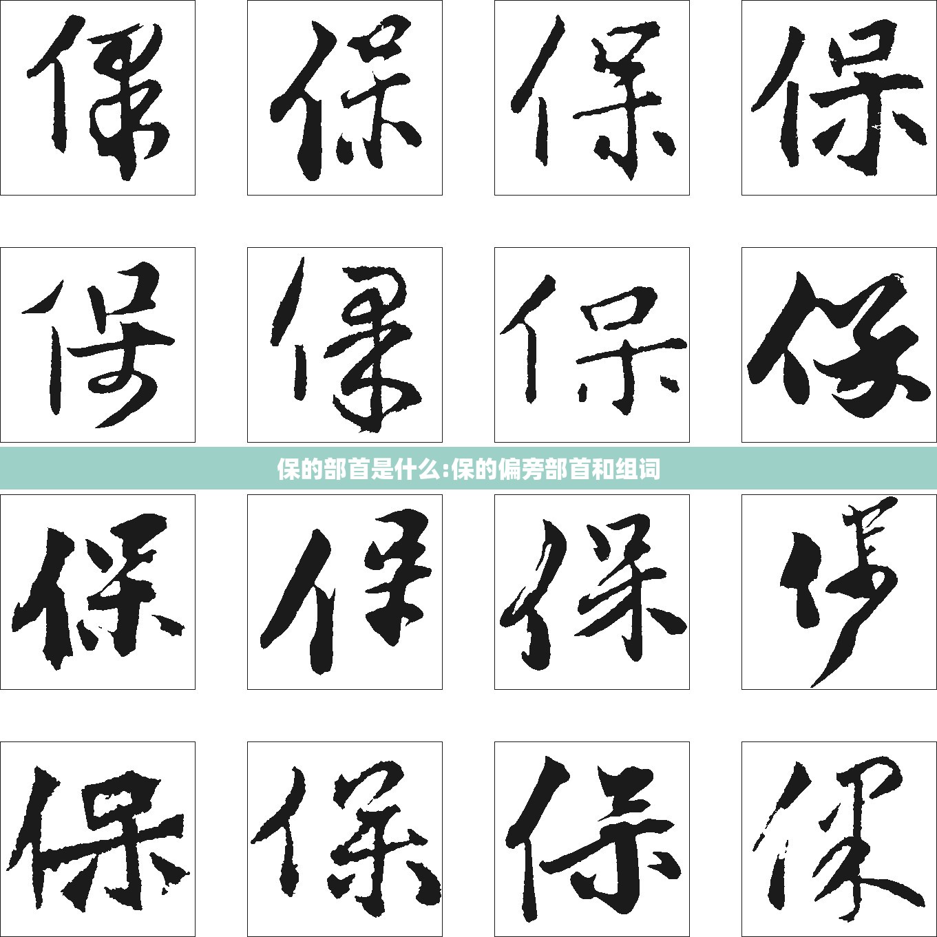 保的部首是什么:保的偏旁部首和组词