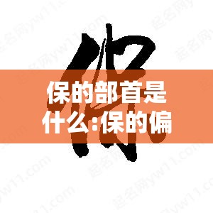 保的部首是什么:保的偏旁部首和组词