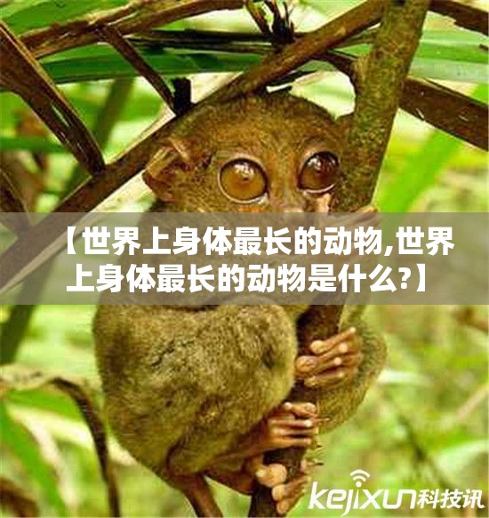 【世界上身体最长的动物,世界上身体最长的动物是什么?】