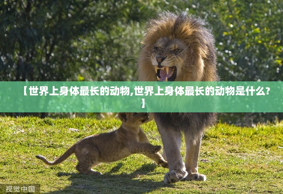 【世界上身体最长的动物,世界上身体最长的动物是什么?】