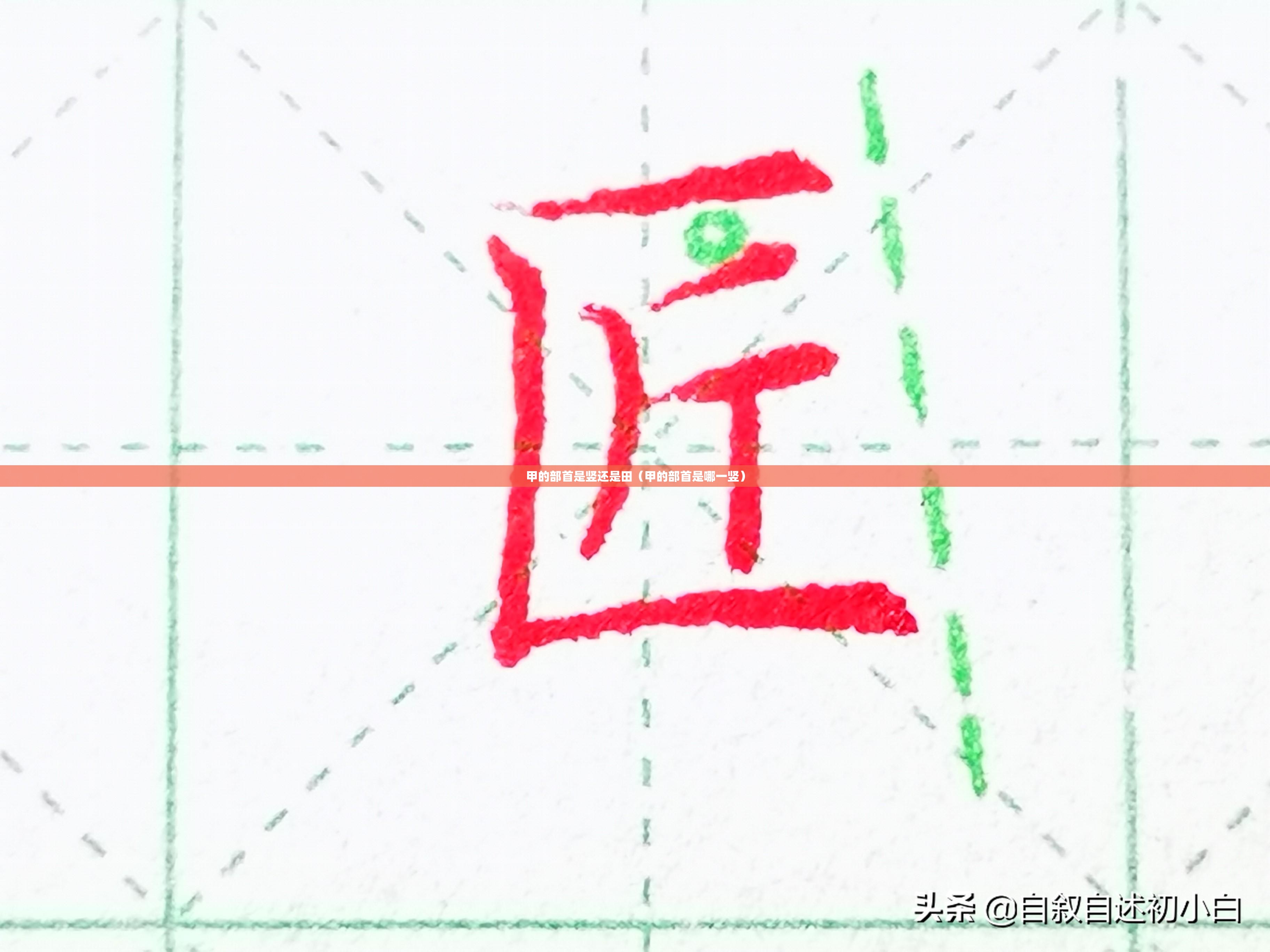 甲的部首是竖还是田（甲的部首是哪一竖）