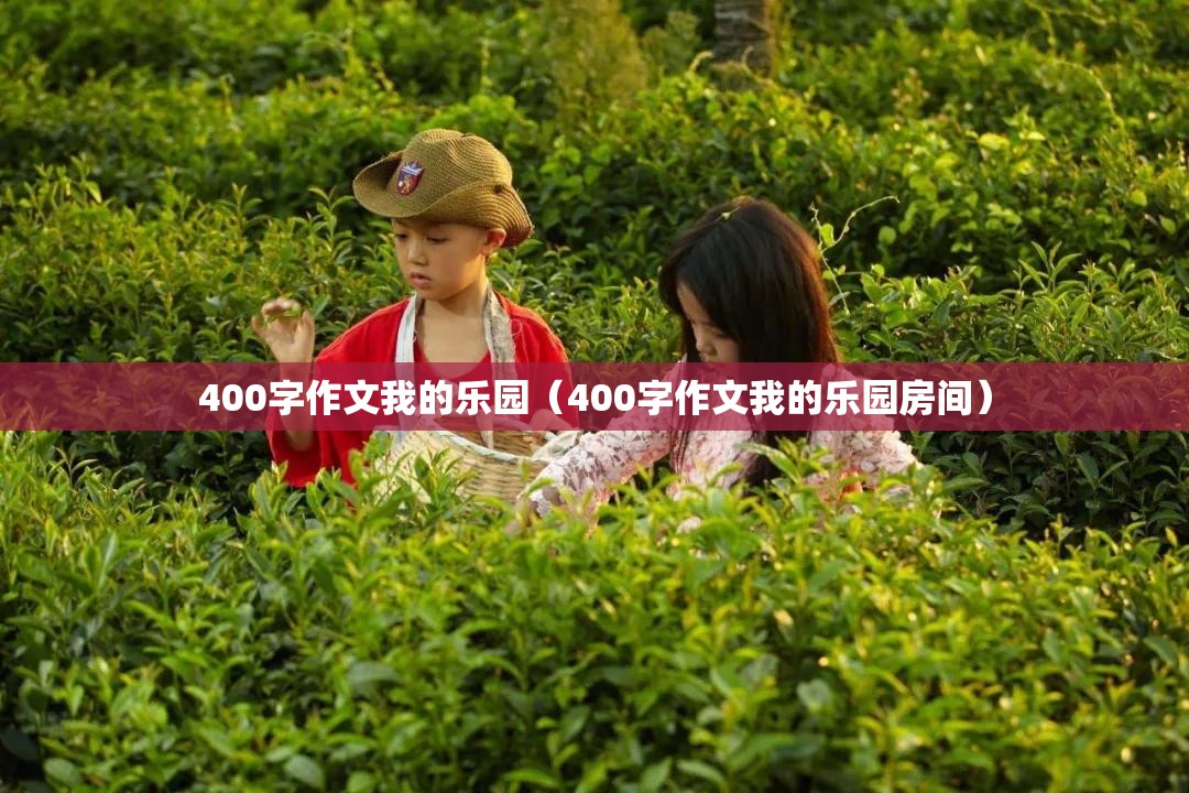 400字作文我的乐园（400字作文我的乐园房间）