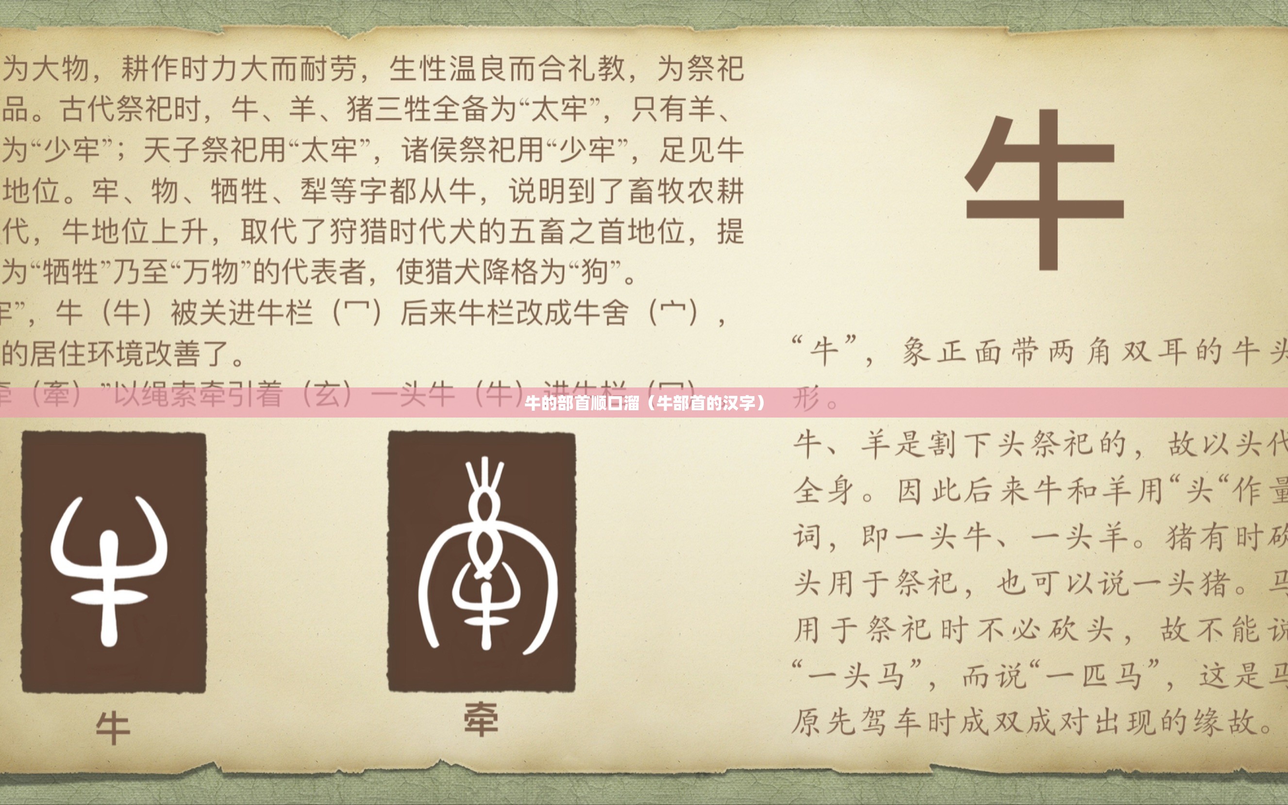 牛的部首顺口溜（牛部首的汉字）