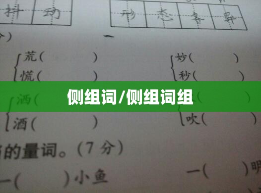 侧组词/侧组词组