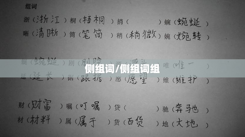 侧组词/侧组词组