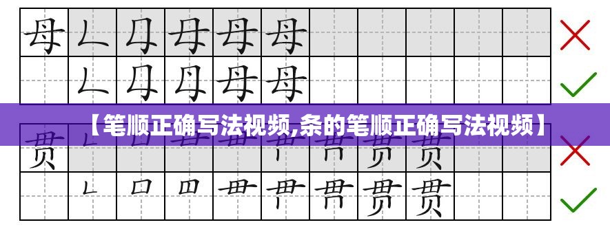 【笔顺正确写法视频,条的笔顺正确写法视频】