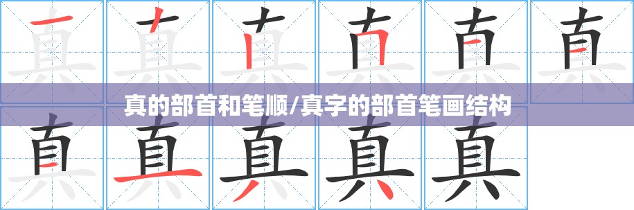 真的部首和笔顺/真字的部首笔画结构
