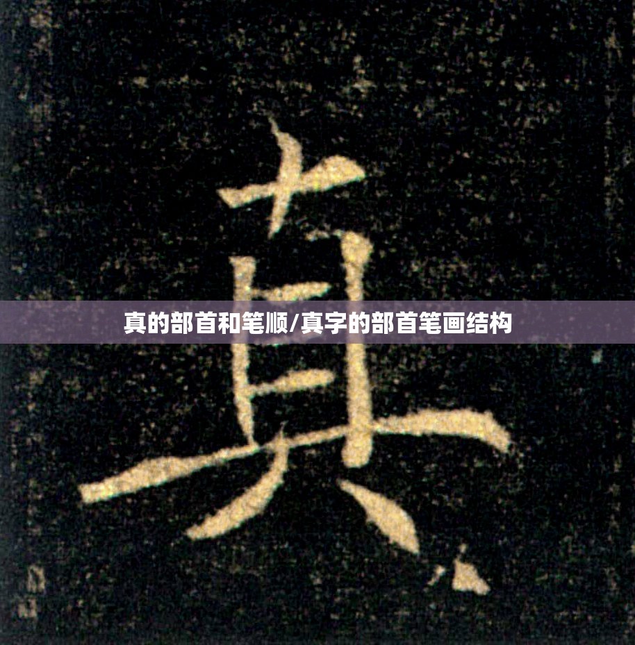 真的部首和笔顺/真字的部首笔画结构