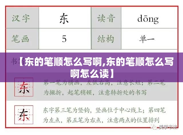 【东的笔顺怎么写啊,东的笔顺怎么写啊怎么读】