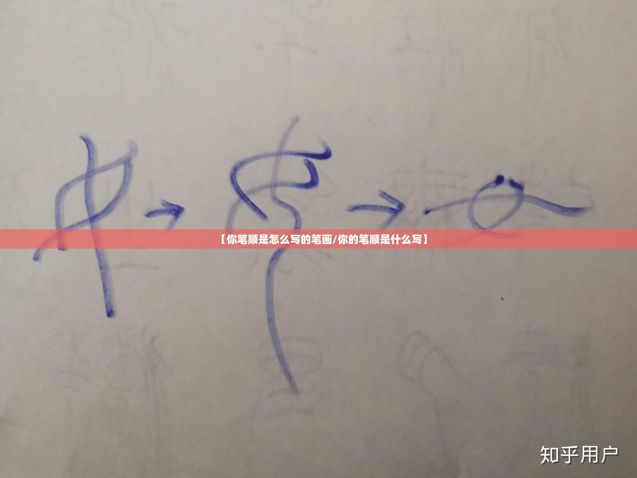 【你笔顺是怎么写的笔画/你的笔顺是什么写】