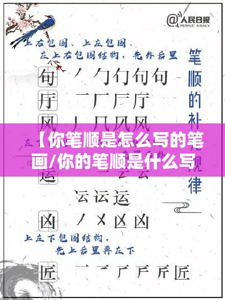 【你笔顺是怎么写的笔画/你的笔顺是什么写】