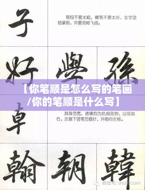 【你笔顺是怎么写的笔画/你的笔顺是什么写】