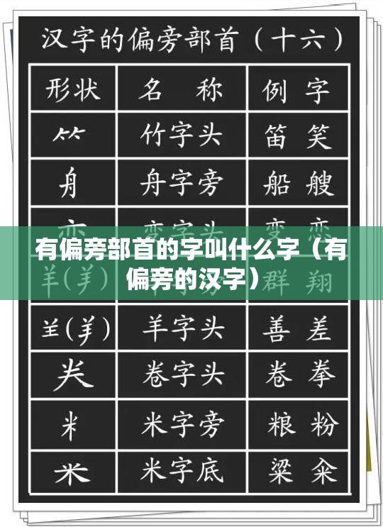 有偏旁部首的字叫什么字（有偏旁的汉字）