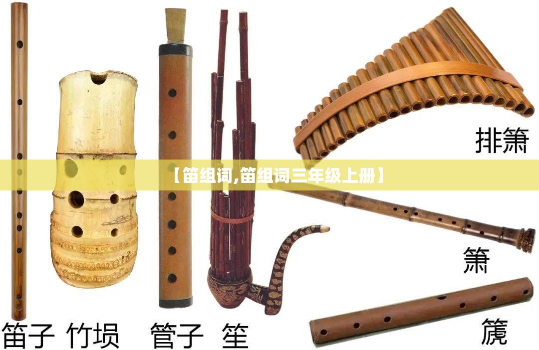 【笛组词,笛组词三年级上册】