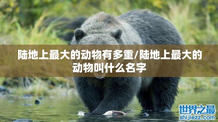 陆地上最大的动物有多重/陆地上最大的动物叫什么名字