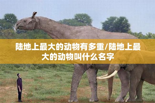 陆地上最大的动物有多重/陆地上最大的动物叫什么名字