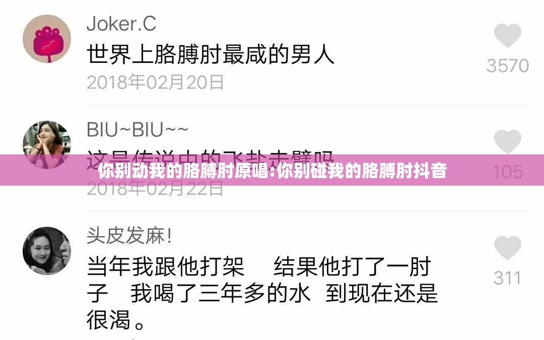 你别动我的胳膊肘原唱:你别碰我的胳膊肘抖音