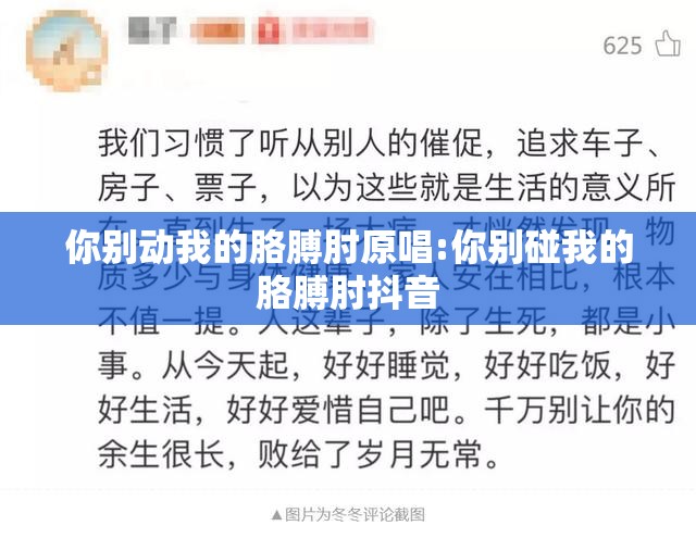 你别动我的胳膊肘原唱:你别碰我的胳膊肘抖音