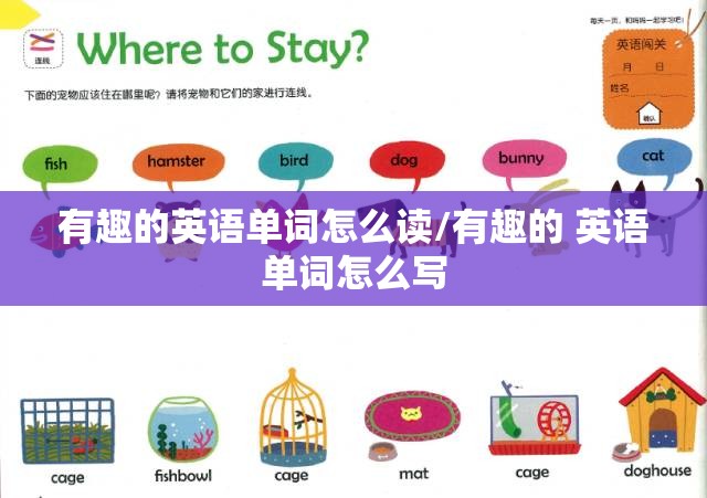 有趣的英语单词怎么读/有趣的 英语单词怎么写