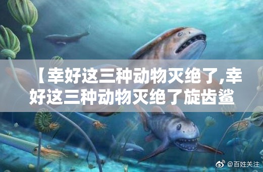 【幸好这三种动物灭绝了,幸好这三种动物灭绝了旋齿鲨】