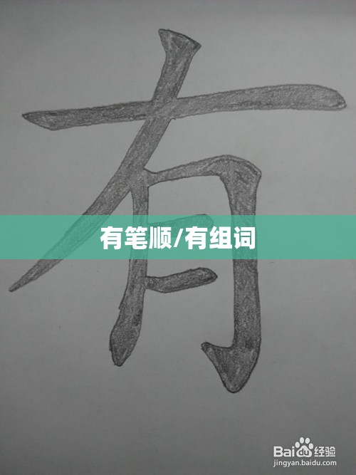 有笔顺/有组词