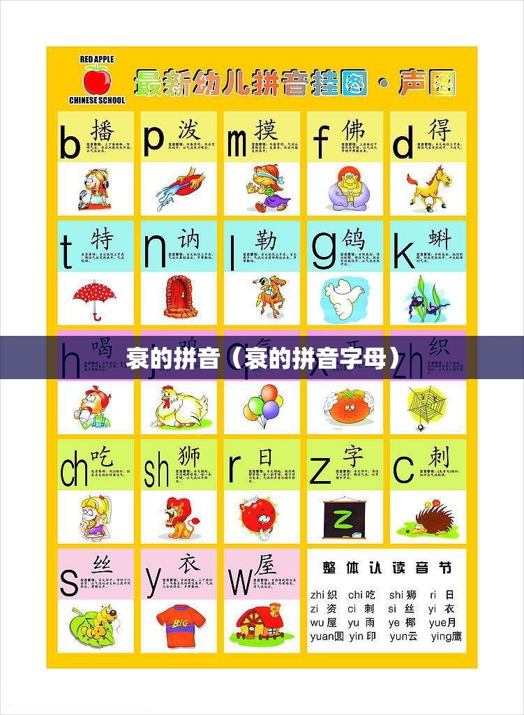 衰的拼音（衰的拼音字母）
