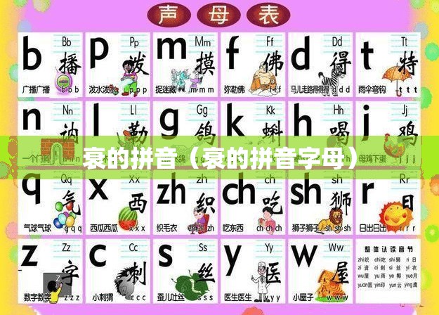 衰的拼音（衰的拼音字母）