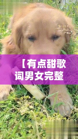 【有点甜歌词男女完整版/有点甜歌词歌曲】