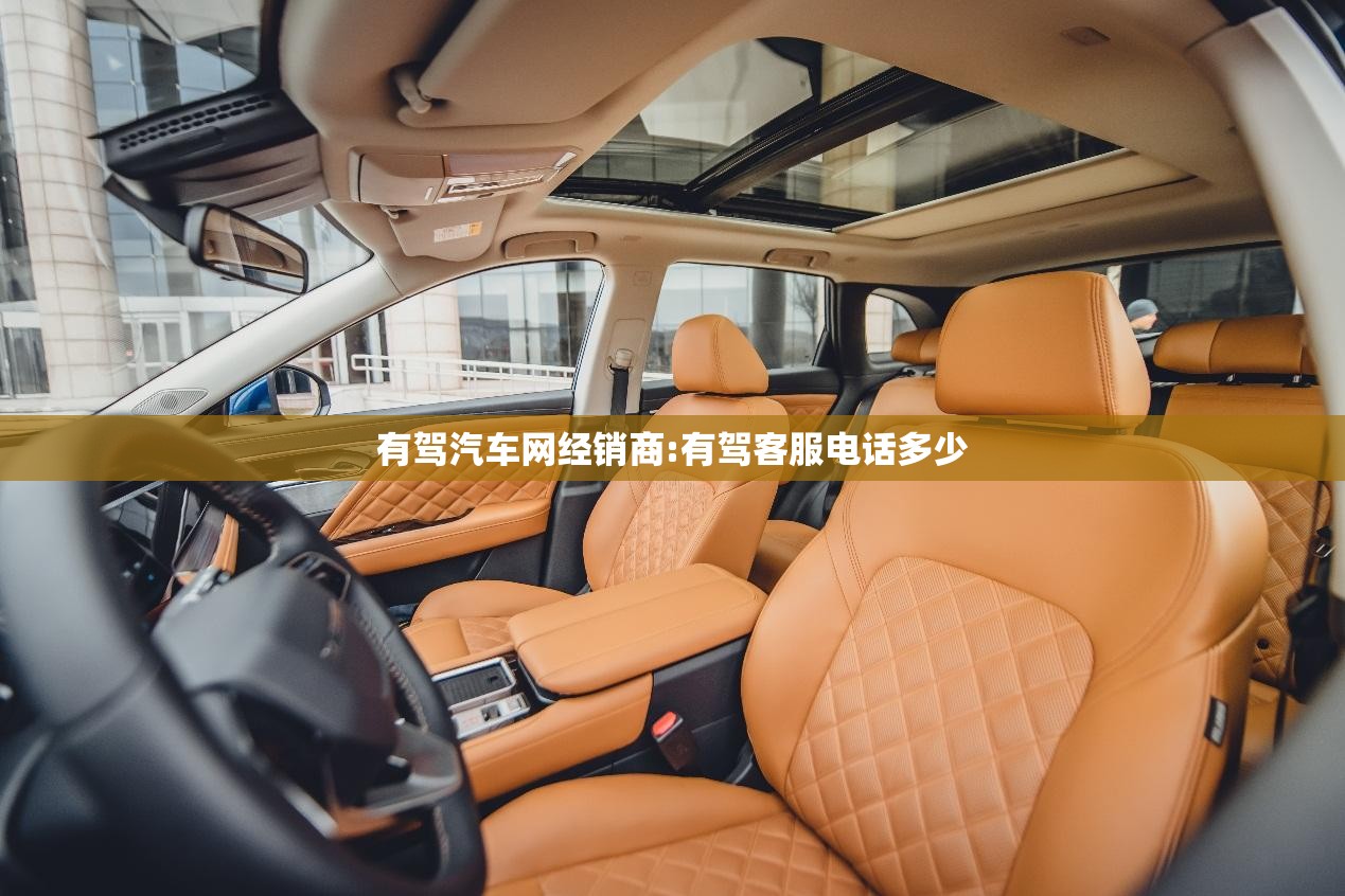 有驾汽车网经销商:有驾客服电话多少