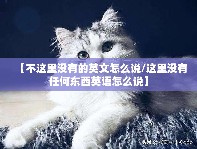 【不这里没有的英文怎么说/这里没有任何东西英语怎么说】