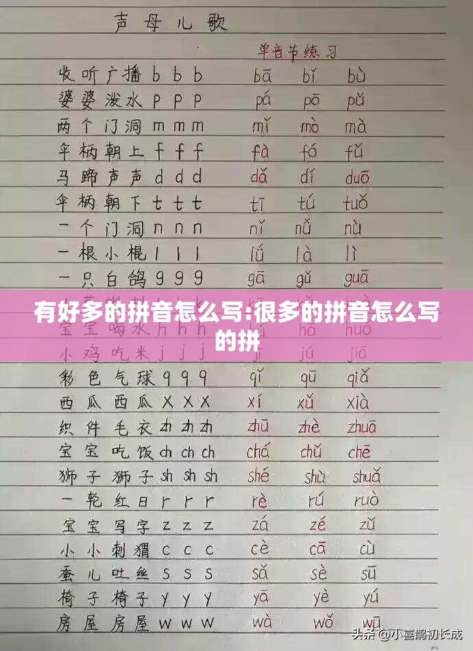 有好多的拼音怎么写:很多的拼音怎么写的拼