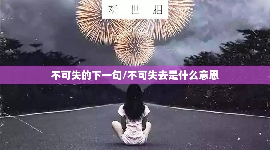 不可失的下一句/不可失去是什么意思