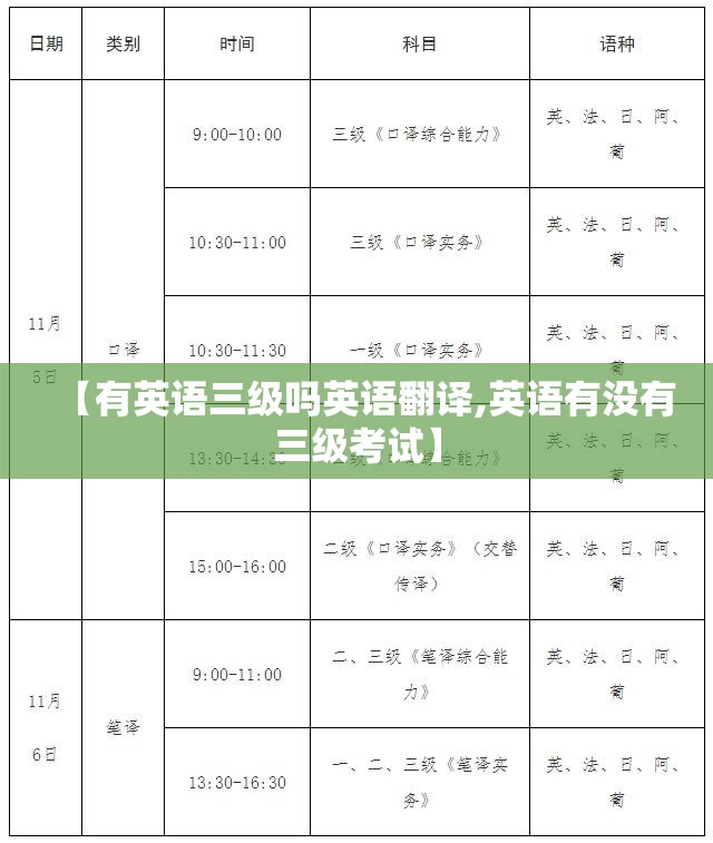 【有英语三级吗英语翻译,英语有没有三级考试】