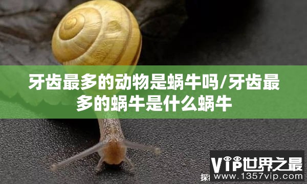 牙齿最多的动物是蜗牛吗/牙齿最多的蜗牛是什么蜗牛