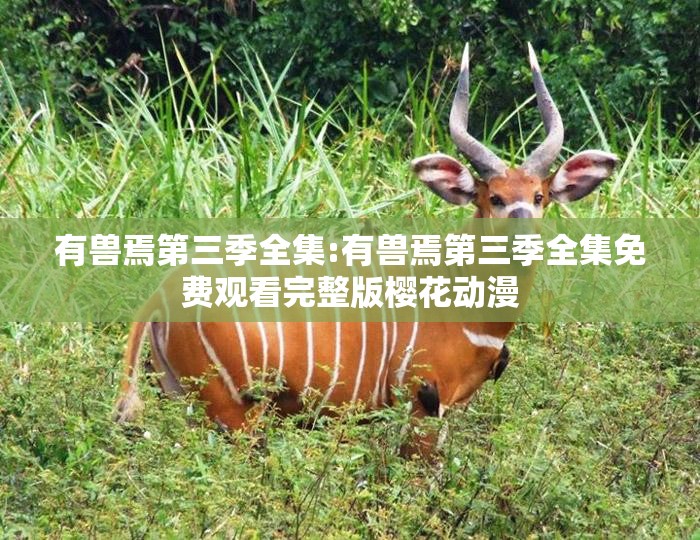 有兽焉第三季全集:有兽焉第三季全集免费观看完整版樱花动漫