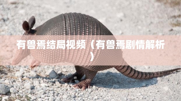 有兽焉结局视频（有兽焉剧情解析）