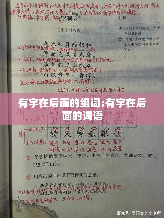 有字在后面的组词:有字在后面的词语