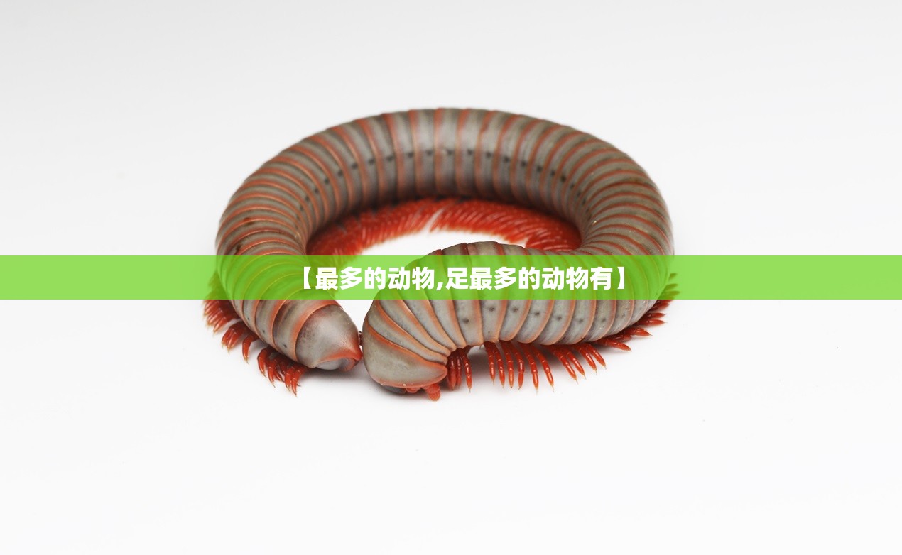 【最多的动物,足最多的动物有】